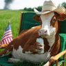 MOO MOO (BIG MILKER) 的头像