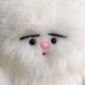 Profilbild von 秘密の皇帝