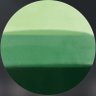 mossgreen_around 的头像
