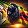 Profilbild von Zimbabwean Patriots🇿🇼