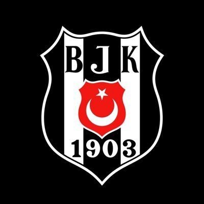 Beşiktaş Jimnastik Şubesi's profile picture