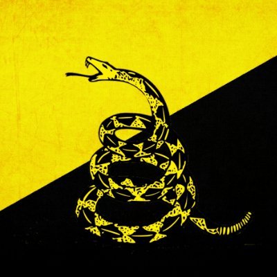 memes_libs's profile picture