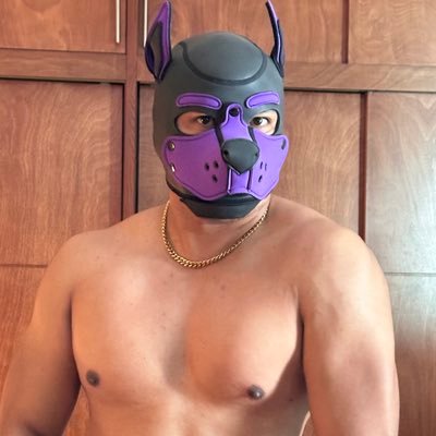Nut a Pup's profile picture