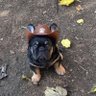 GrandmaRaymos's profile picture