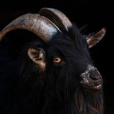 streetupdate24_'s profile picture