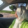 Profilbild von Zainab Emad