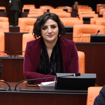 Sabahat Erdoğan Sarıtaş's profile picture
