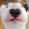 Profilbild von Patty ❤️🤍💙