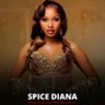 Profilbild von The_Spicegadgets