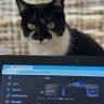 AzuLaDa profil fotoğrafı