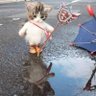 EvozA demuś profil fotoğrafı