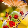hassanhmad's profile picture