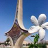 Фото профиля Mohammad