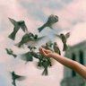 Фото профиля على العهد ماضوون