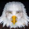 aguilar profil fotoğrafı
