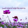 Profilbild von 🇸🇦🇸🇦🇸🇦🇸🇦