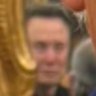 Buckley McMaster's profile picture