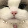 Profilbild von bilo