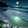 Rajesh Kumar's profile picture