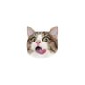 Profilbild von ai_