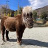 Фото профиля ねもみ