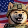AMERICAN DOGE's profile picture