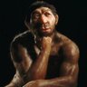 Thinking Neanderthal's profile picture