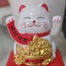 叙事全靠编，努力做先信的人 profil fotoğrafı