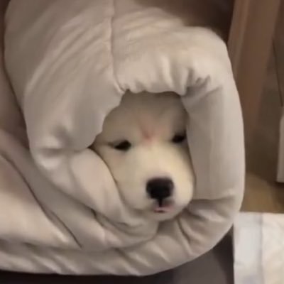 errormint's profile picture