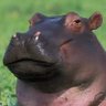 Profilbild von Hà Mã Nè