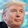 Elon Trump 🇦🇪 的头像