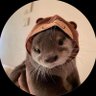 Profilbild von Rise1x