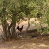 o profil fotoğrafı