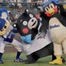 ドアラもん's profile picture