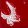 Champion d'Irak™'s profile picture
