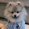 VI babebie's profile picture