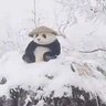 earth_wanderer 的头像