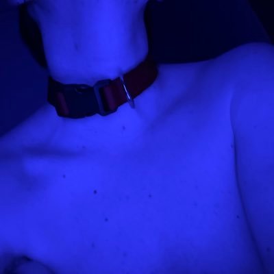 gayL1Lpuppy's profile picture