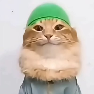 Habibuu😺's profile picture