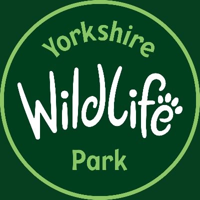 YorkshireWP's profile picture