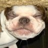 Johnny Spangler's profile picture