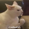 มังจุ๊ดดดด☘️ profil fotoğrafı