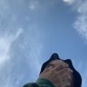 Profilbild von Nurin ⟢