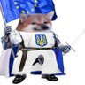 Dino Fella🇪🇺 🇺🇦 的头像