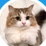 Profilbild von 週末の物語