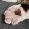 🐾 的头像