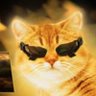 Daniil's profile picture
