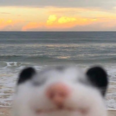 glad2seeumrm999's profile picture