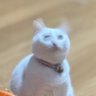 Inez(漢字子) profil fotoğrafı