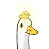 DucksAreYellow profil fotoğrafı